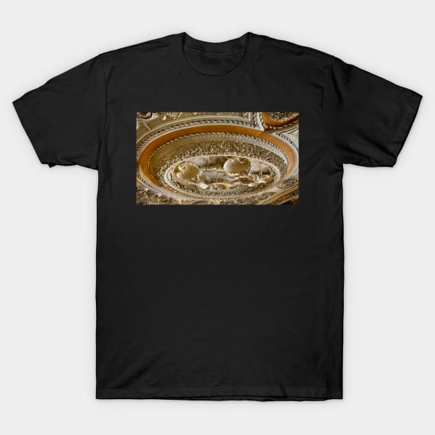 Astley Hall ceiling T-Shirt by jasminewang